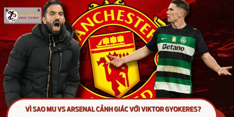 MU vs Arsenal cảnh giác với Viktor Gyokeres: Vũ khí bí mật từ Sporting Lisbon