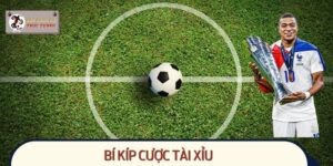 Hé Lộ Bí Kíp Cược Tài Xỉu Mà Dân Chơi Lâu Năm Thường Dùng