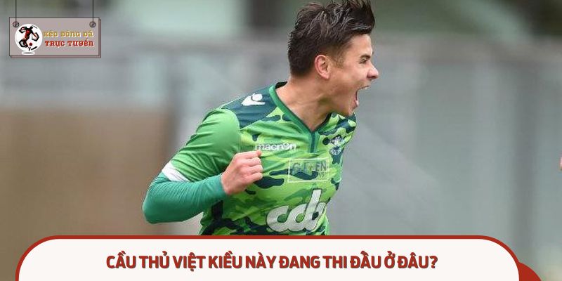 Tìm hiểu hành trình của cầu thủ Việt kiều đắt giá nhất sắp khoác áo ĐT Việt Nam