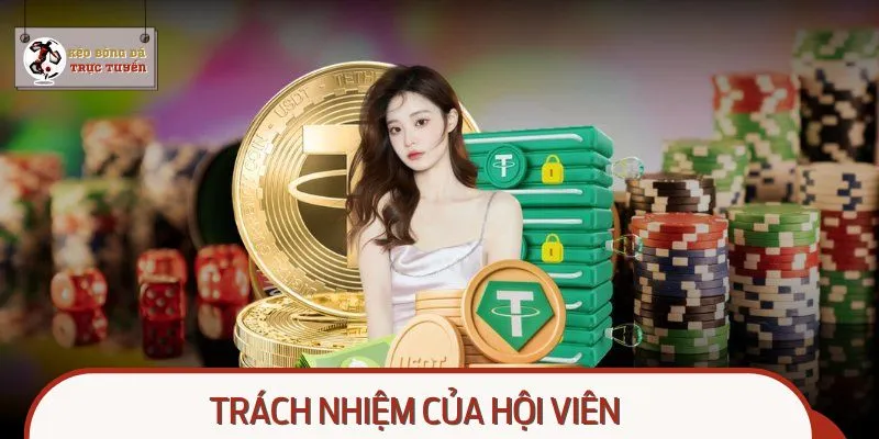 Hội viên cần tuân thủ trọn bộ điều khoản tại hệ thống
