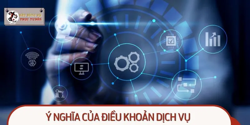 Điều khoản dịch vụ và vai trò cực quan trọng trong cá cược