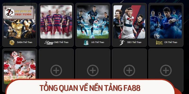 Khái quát về hệ thống hàng đầu tại Việt Nam
