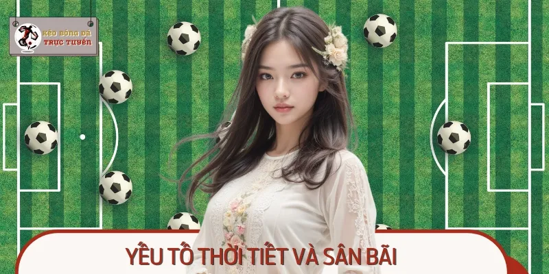 Bạn nên nhớ rằng điều kiện thi đấu cũng sẽ ảnh hưởng lớn đến tỷ lệ nhà cái