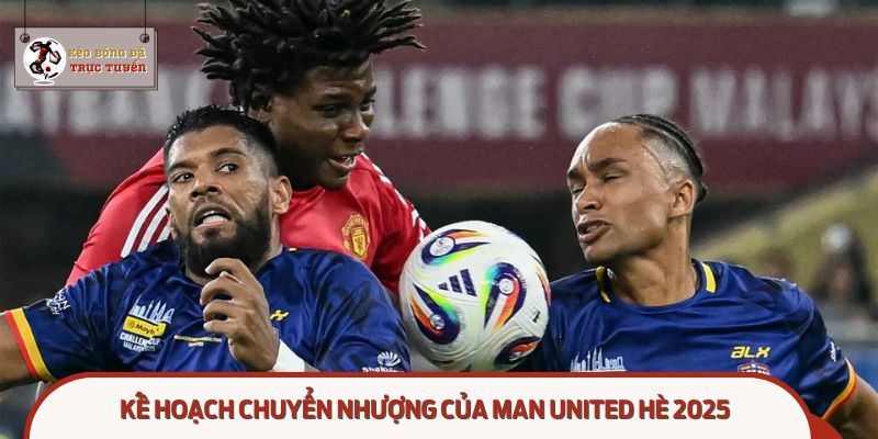 Man United ưu tiên mua 3 cầu thủ mới để tái thiết đội hình hè 2025