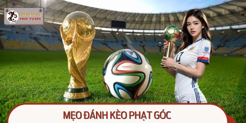 Mẹo Đánh Kèo Phạt Góc - Tỷ Lệ Thắng Lớn Lên Đến 99.9%