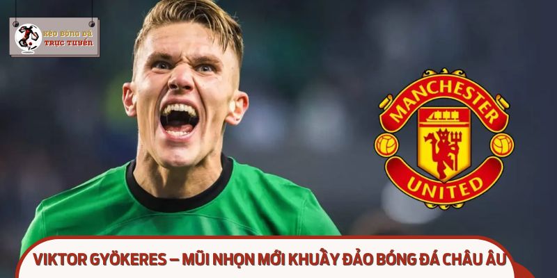 MU vs Arsenal cảnh giác với Viktor Gyokeres – Sát thủ khiến Ngoại hạng dè chừng!