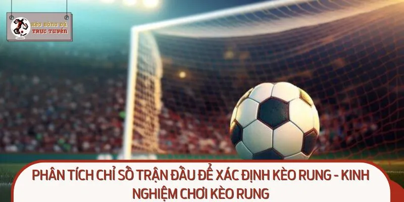Phân tích chỉ số trận đấu để xác định kèo rung - Kinh nghiệm chơi kèo rung