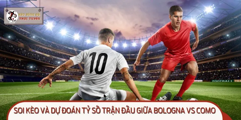 Bologna vs Como hứa hẹn kịch tính trong trận cầu vòng 3 Serie A