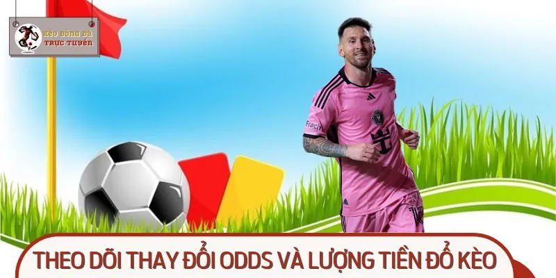 Cách bắt kèo under chuẩn - Theo dõi thay đổi odds và lượng tiền đổ kèo