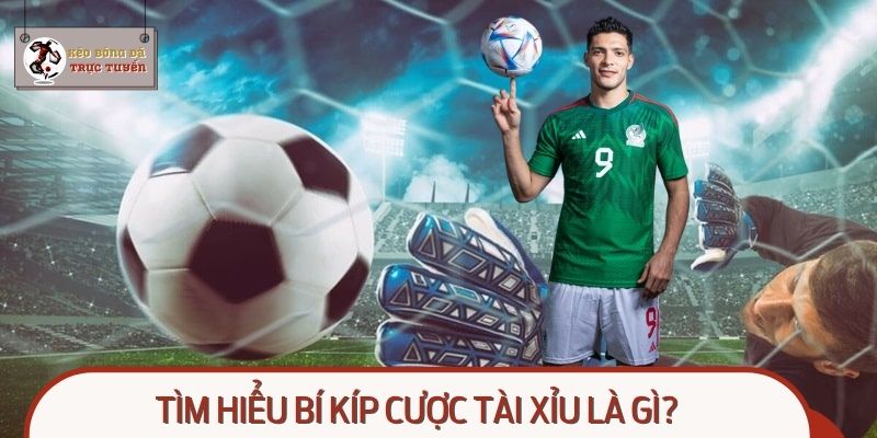 Tìm hiểu bí kíp cược tài xỉu là gì?