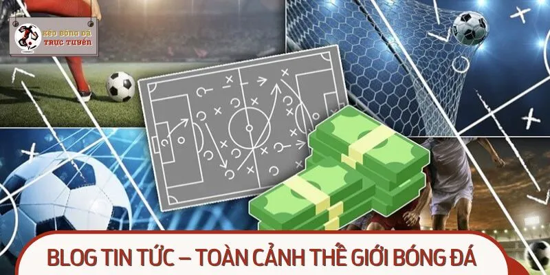 Blog tin tức là cẩm nang cực hữu ích với bet thủ